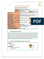 Informe Psicopedagógico Mérida D