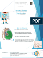 Traumatismo Testicular