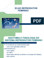 Sistema Reprodutor Feminino