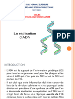 Duplication de l'ADN - 011009