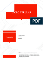 Ciclo Celular Primer Ciclo Bioquímica y Farmacia