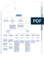 Mapas Conceptuales