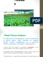 Plant Tissue Culture