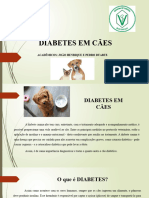 Diabetes em Cães