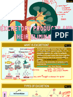 Vipin Sir Biology 19. Excretory Products and Their Elimination