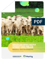 Brazilian Beef Cattle Production and Its Global Challenges