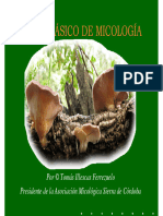 Curso Basico de Micologia 1parte