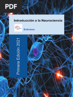 Introducción A La Neurociencia - Brainware