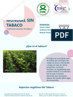 Dia Mundial Sin Tabaco