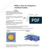 UNIDAD 3: TEMA 6: Tipos de Transporte A Través de La Membrana Celular