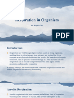 Respiration in Organism