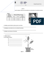 Ficha Formativa12