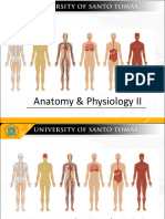 10 Cardiovasclar System