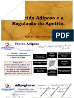 Tecido Adiposo