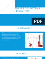 Enfermedades Del Sistema Digestivo