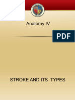 Stroke & Its Types