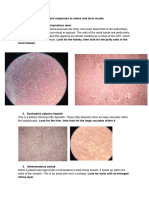 Pathology Protocols