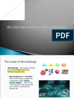 An Introduction To Microbiology