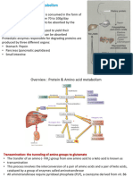 Biochemistry Lecture PPT 7