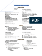 Endocrinología Segundo Parcial