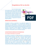 Aspectos Bioquimicos de La Accion Hormonal