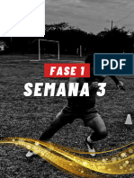 (Fase1 Semana 3)