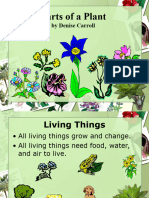 Plant Parts - PowerPoint