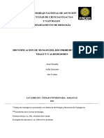 Identificacion de Musgos Del Rio Piribebuy, Arroyo Ygaguy y Alrededores