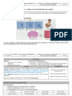 Activité 4 - Spécialisation Cellules