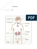 Endocrine System