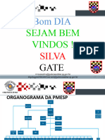 CNP GATE PMESP 2019 Gerenciamento de Crises - SGT Silva