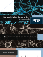 4-Generalidades en Neurología