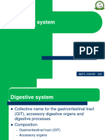 Lesson 3 - Digestive System Part 1