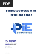 Synthèse Phase 1 PIE