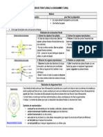 FT Dissection Diagramme Floral