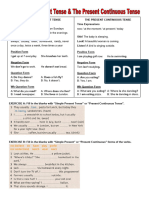 The Simple Present & Present Continuous Tenses