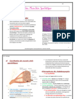 Tissus Musculaires Squelettiques Fiche