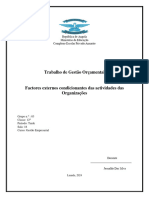 Factores Externos Condicionantes Das Actividades Das Organizações