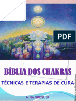 Biblia Dos Chakras Nina Greguer Desbloqueado