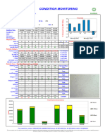 Micro Analysis Report PDF