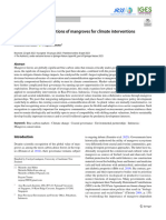 Climate Interventions in Indonesia