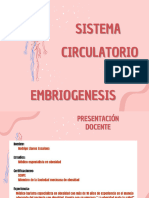 Embriologia Del Sistema Cardiovascular