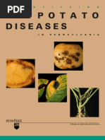 Diseases Potato: I D E N T I F Y I N G