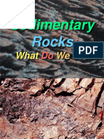 Sedimentary Rocks