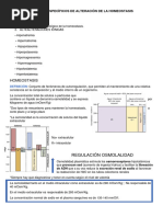 Apuntes Tema 7