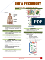 Lymphatic Systems