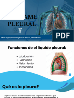 Derrame Pleural