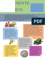 Infografia de DAM1