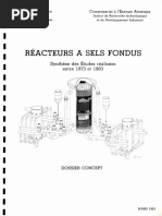 Réacteur A Sels Fondus