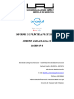 Informe de Práctica Profesional